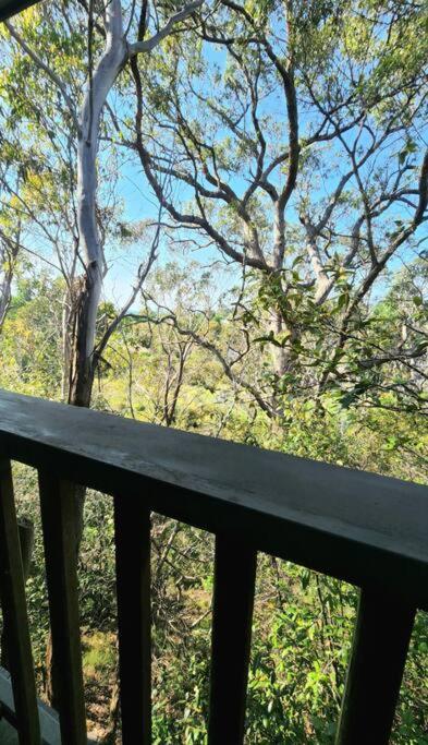 The Black Cockatoo - Secret Garden Treetops Home カトゥーンバ エクステリア 写真